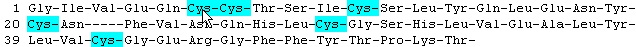 C13 C13