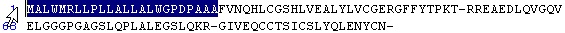 C9 C9