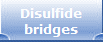 Disulfide
bridges