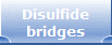 Disulfide
bridges