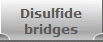 Disulfide
bridges