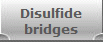 Disulfide
bridges