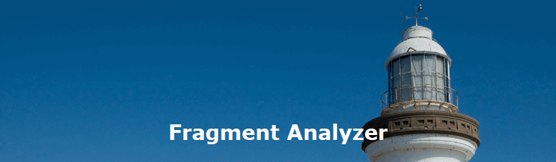 Fragment Analyzer