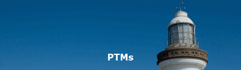 PTMs